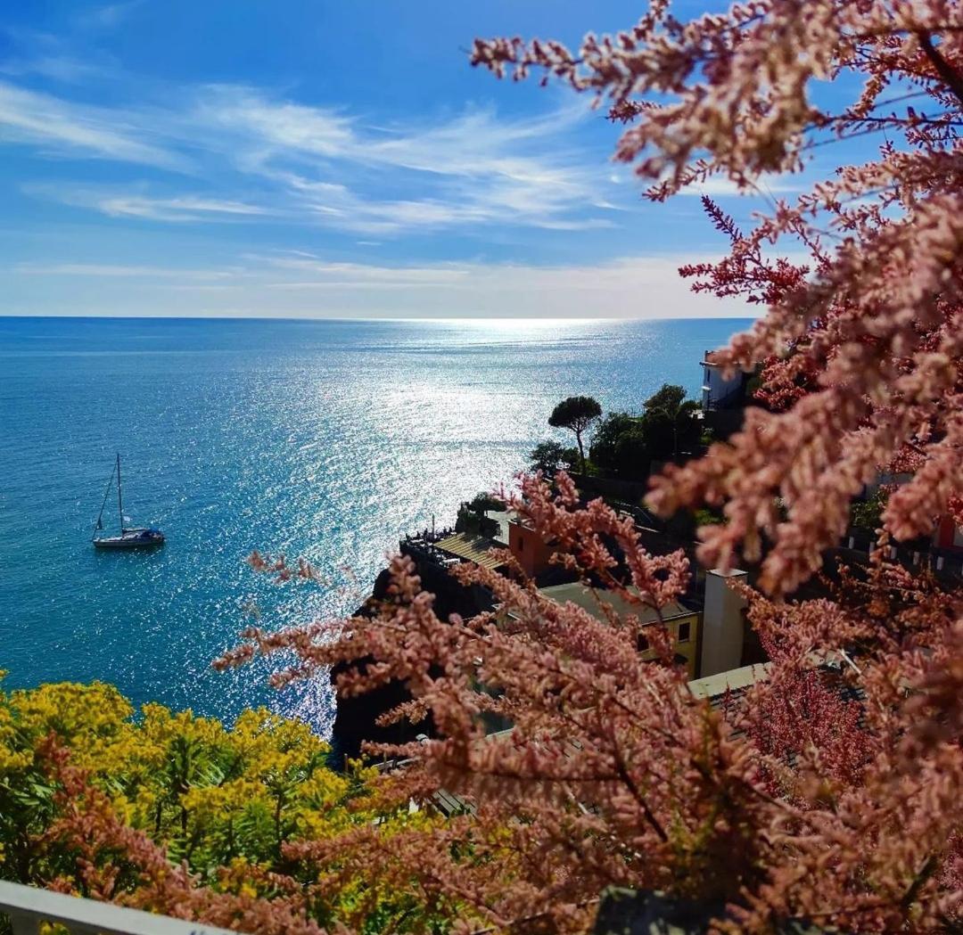 Exotic Flavour House Hotel La Spezia Eksteriør billede